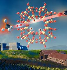 A team of researchers at MIT has come up with a promising approach to controlling methane emissions and removing it from the air, using an inexpensive and abundant type of clay called zeolite. In this image, the zeolite, depicted as the complex structure in the middle, absorbs the methane that passes through it.