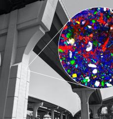 The high temporal and spatial resolution Raman imaging technique opens opportunities to answer millennia-old questions regarding cement chemistry. This high-resolution Raman image shows the hydration of alite (white) forming C-S-H (blue) and portlandite (red). Other components are belite (green) and calcite (yellow).