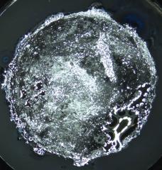 This photograph shows a metal electrode (the textured inner circle) on a grey disc of solid electrolyte. After being tested through many charging-discharging cycles, the electrolyte shows the beginnings of dendrite formation on its surface.