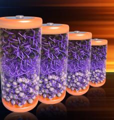 A depiction of batteries made with MIT researchers’ new electrolyte material, which is made from a class of molecules that self-assemble in water, named aramid amphiphiles (AAs), whose chemical structures and stability mimic Kevlar.