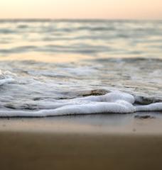 Climate-driven sea level rise is making freshwater ecosystems saltier, and MIT researchers have uncovered how that shift could reshape the microbial communities that sustain rivers and estuaries.