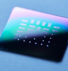 Silicon chip with 30 individual glucose micro fuel cells, seen as small silver squares inside each gray rectangle.