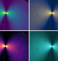 Researchers used a new visual technique to measure stress in a material as a dendrite crack grows. Here, the four graphs have the same data with different color schemes. Brighter colors correspond to higher stress, and a bowtie-shaped pattern can be seen at the crack tip.