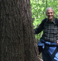 William Moomaw PhD ’65 stands next to a large tree while hiking in the woods