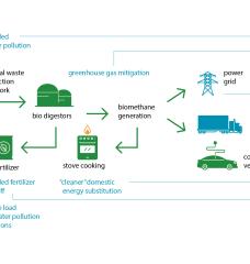 An illustrated flow chart showing the process of how animal waste is taken from the farm and transformed into energy sources. 