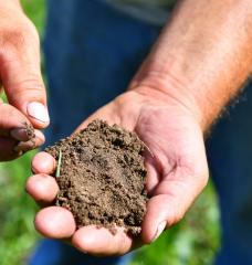 Farmer Jason Lorenz holds a handful of soil from a field he farms Aug. 31 near Little Falls.
