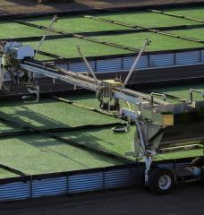 A machine helps with the growth of the aquatic plant Lemna.
