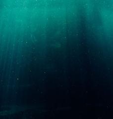 An MIT study finds the tiny ocean microbe Prochlorococcus leads two connected lives: drifting alone in sunlit waters, or clinging to particles in sticky communities called biofilms. The discovery suggests the attached cells release more carbon and may help carry it toward the deep sea.