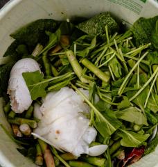 Eggshells, asparagus, and other food scraps in a bucket.